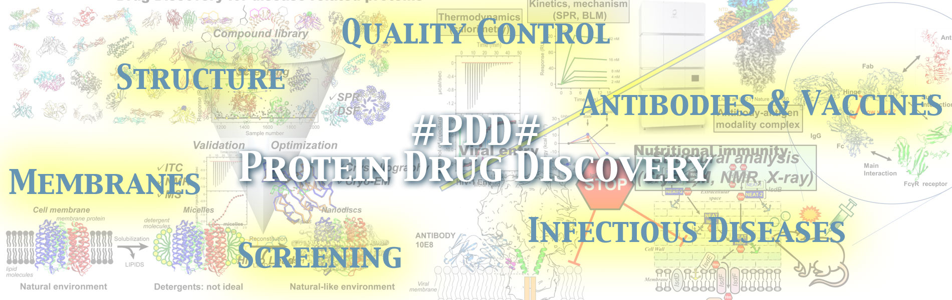 #PDD# Protein Drug Discovery